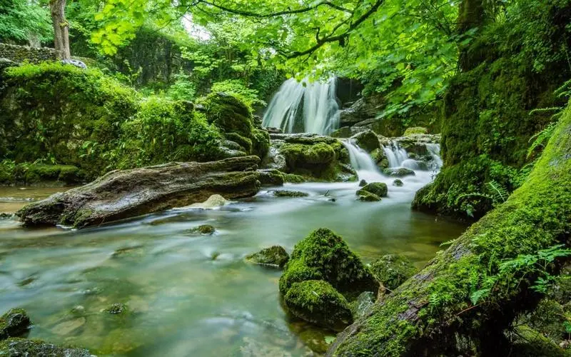 先进可靠性节能